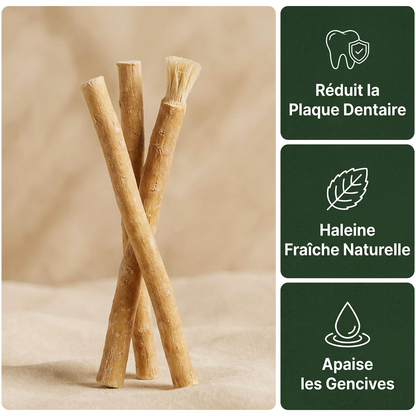Miswak - Cepillo de Dientes Natural (pack de 3)