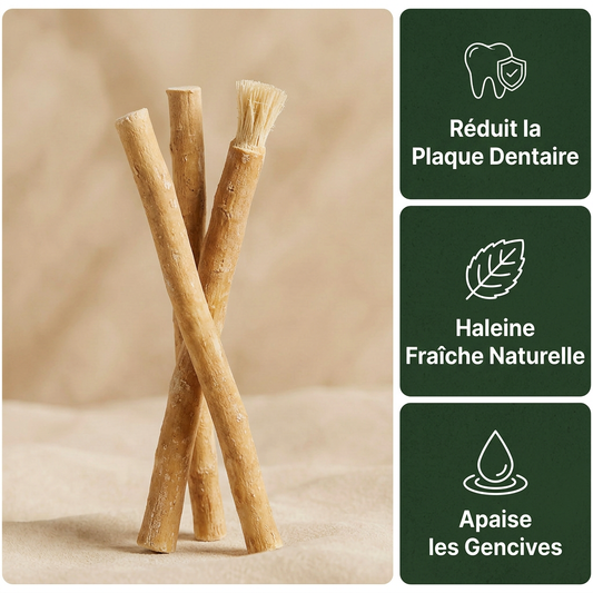 Miswak - Cepillo de Dientes Natural (pack de 3)