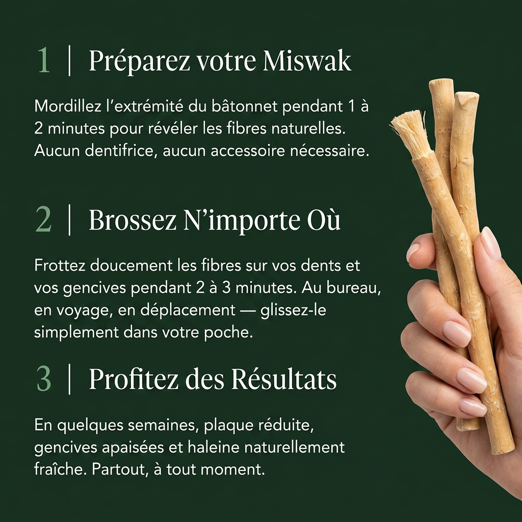 Miswak - Cepillo de Dientes Natural (pack de 3)