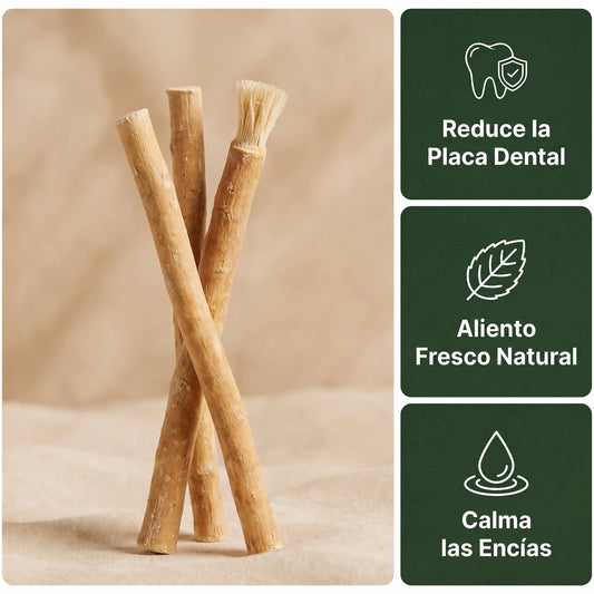 Miswak - Cepillo de Dientes Natural (pack de 3)